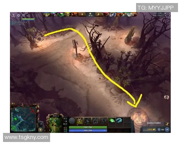 DOTA2战局分析LNG战队进攻策略与战术优势探讨