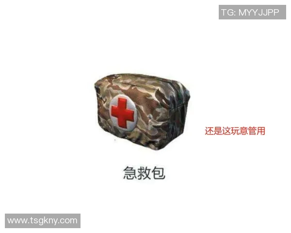 和平精英中LNG心理素质争议引发热议玩家对竞技精神的深思与反思